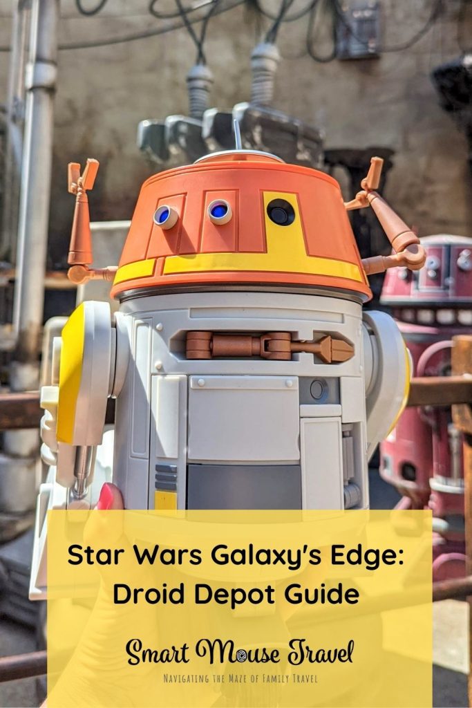 Building a custom droid at Galaxy's Edge Droid Depot is an incredible way to become part of the Star Wars story with a BB, C, or R astromech.