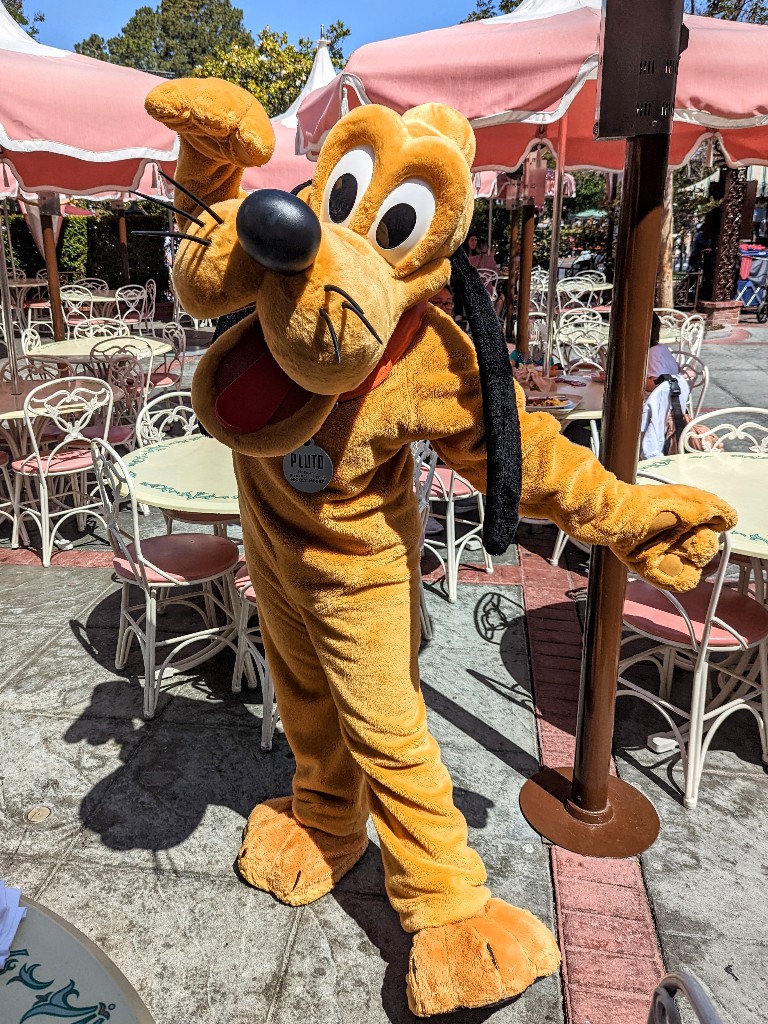 Pluto poses in the outdoor seating area at Plaza Inn breakfast with Minnie and Friends