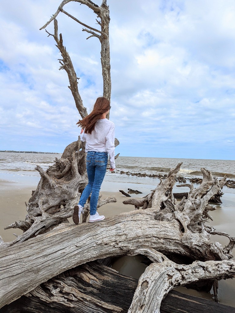 Girl stands on a fallen tree at Driftwood Beach on Jekyll Island