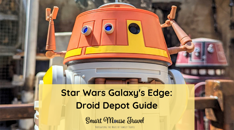 Building a custom droid at Galaxy's Edge Droid Depot is an incredible way to become part of the Star Wars story with a BB, C, or R astromech.