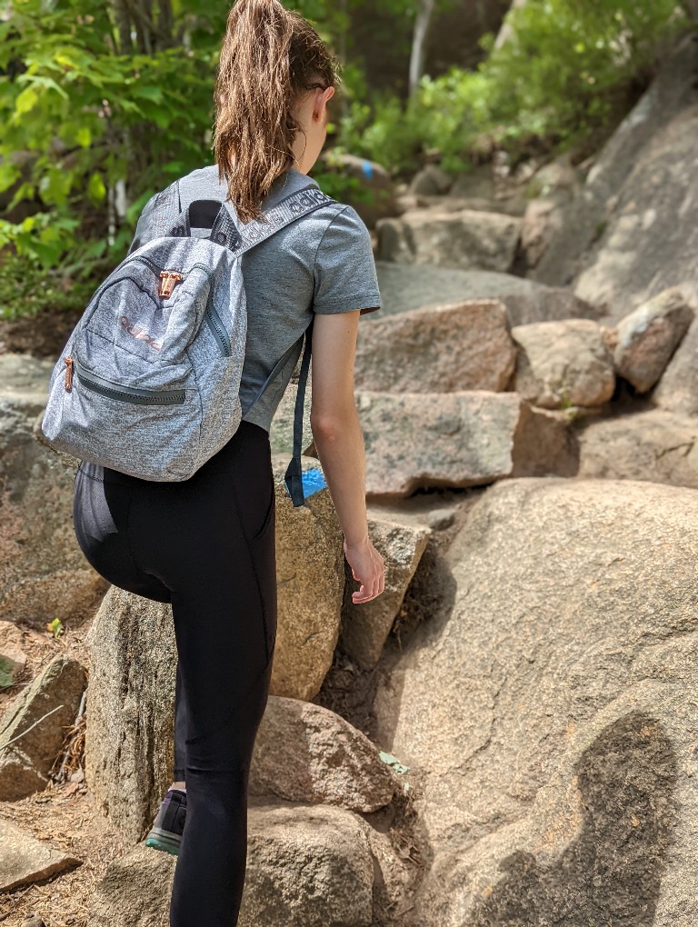 Blue lines on rocks indicate where to hike on Beehive Trail