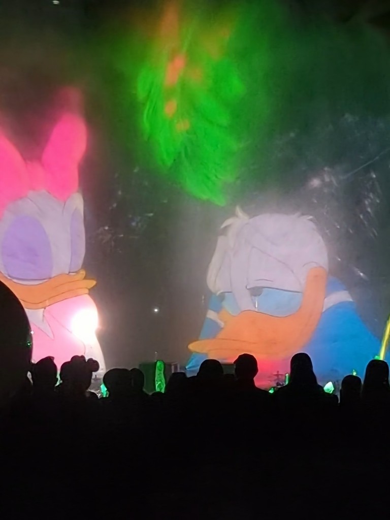 Donald and Daisy under the mistletoe during World of Color Season of Light