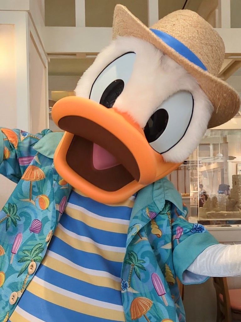 Donald poses showing off his striped t-shirt, fun seashell and umbrella Hawaiian shirt, and straw hat perfect for the beach
