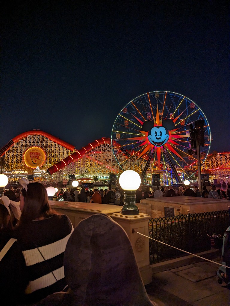 Obstructed views at the World of Color dining package reserved area when arriving just before the show starts
