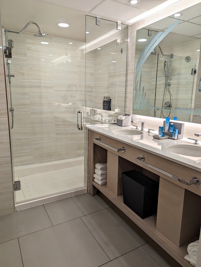 Dual sinks over a light wooden vanity and a walk-in shower with two shower heads, sleek tile, and clear glass in the Contemporary Garden Wing room bathroom.