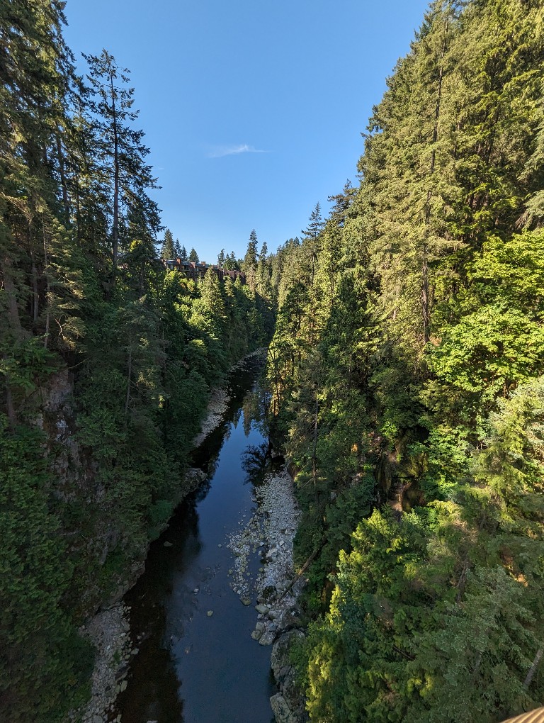 Bright blue skies, rich green pine trees, and a small river below make for a scenic escape in Vancouver before a Disney Alaska cruise