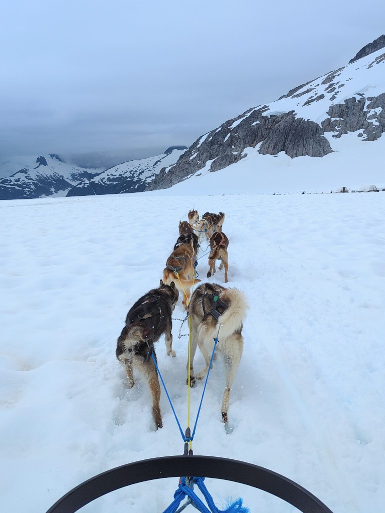 Dogs pull a sled across thick snowpack on Mendenhall Glacier during a Disney Alaska cruise port adventure