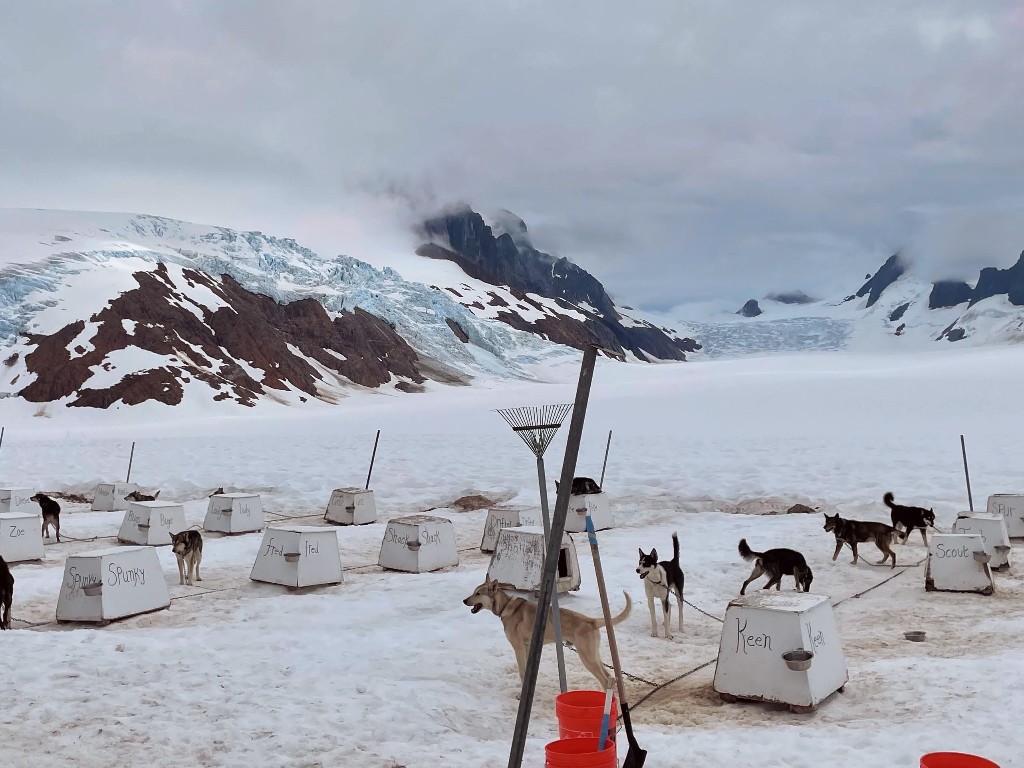 Glacier ice glistens in the background of the sled dog kennels on Mendenhall Glacier