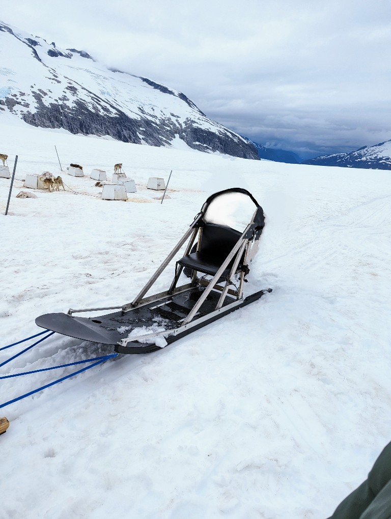 Sled with one seat and a standing platform on our Mendenhall Glacier dog sledding excursion