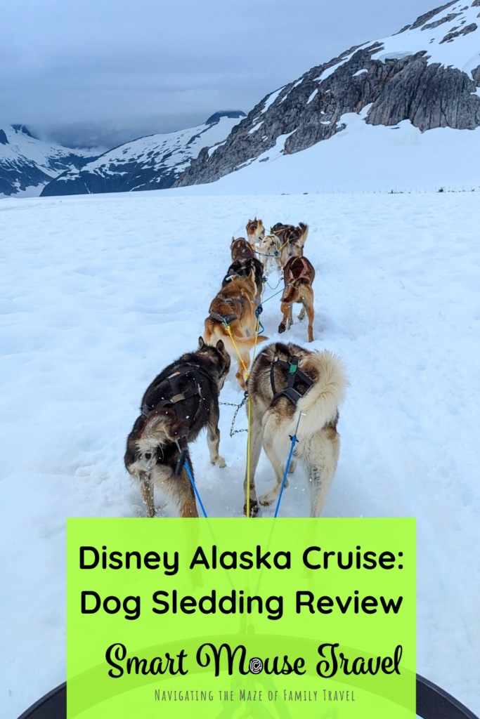 Dog Sledding on the Mendenhall Glacier is a popular Disney Alaska cruise excursion, but what's it like and is it worth it?
