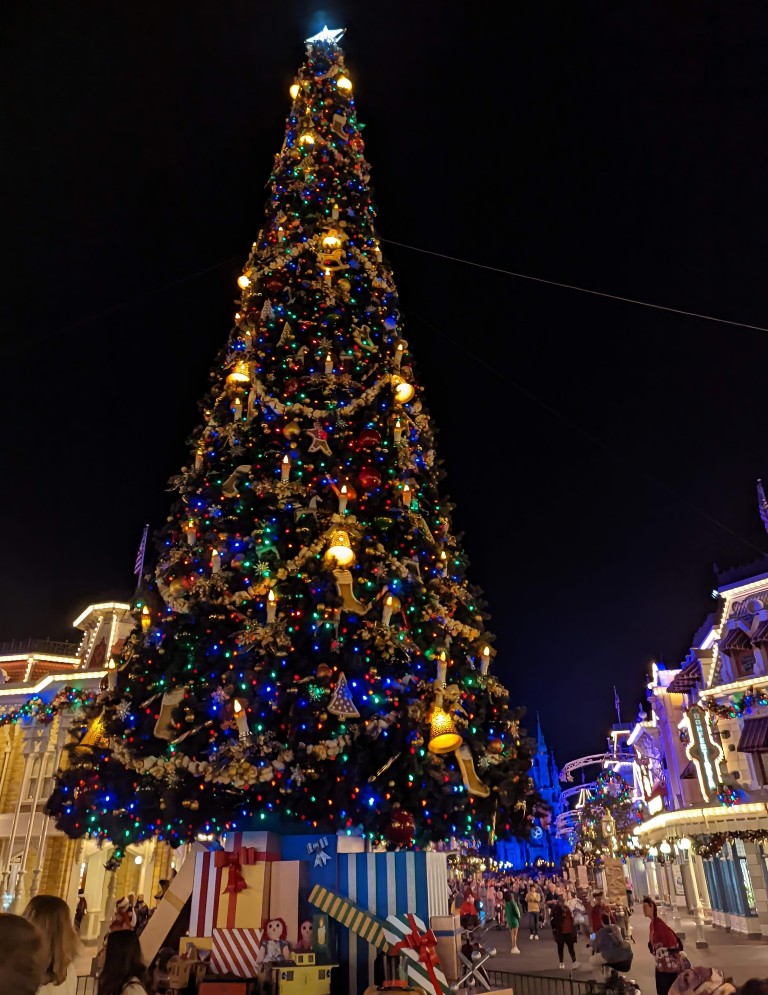 A 60 foot decorated Christmas tree with a lighted Main Street and Cinderella Castle in the background