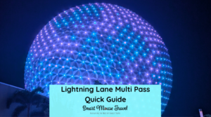 Understanding Disney World Lightning Lane Multi Pass and Single Pass is simple with our guide plus recommendation on when buying is worth it.